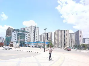 1bdrm Block of Flats in Zelalem, Nifas Silk-Lafto for sale