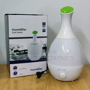 Humidifier With a Timer and Decorative Lighting Functionality.