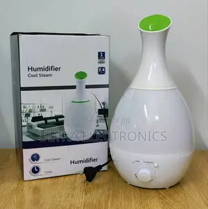 Humidifier With a Timer and Decorative Lighting Functionality.