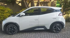 BYD Seagull 2024 Off white