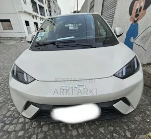 BYD Seagull 2024 Off white