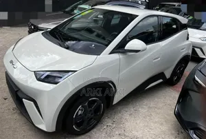 BYD Seagull 2024 Off white