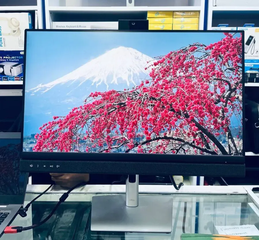 Video Conferencing Monitor