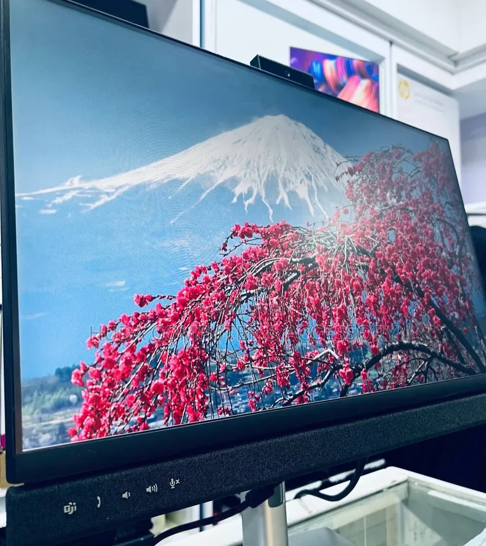Video Conferencing Monitor