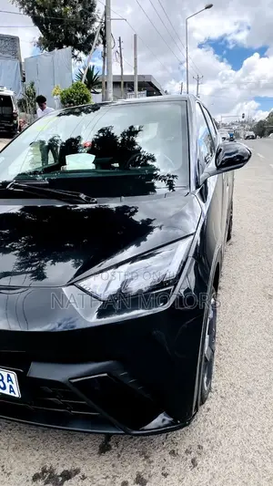 BYD Seagull 2024 Black