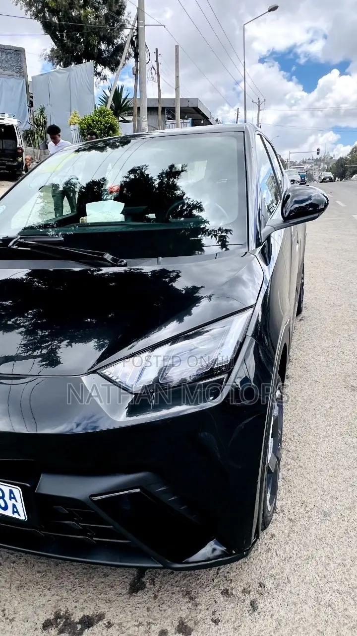 BYD Seagull 2024 Black
