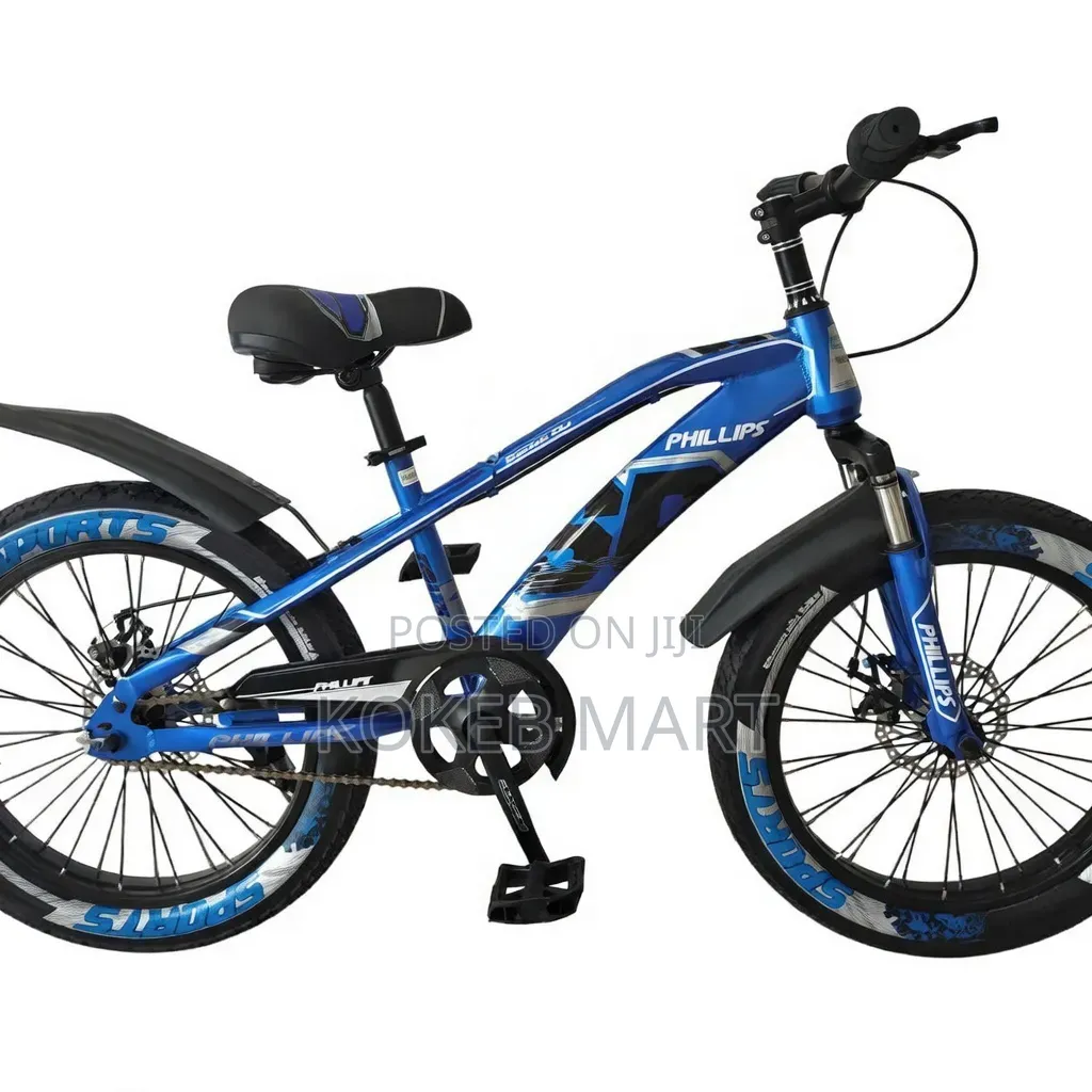 Phillips Bike 20 Inch