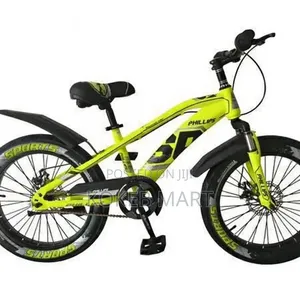 Phillips Bike 20 Inch