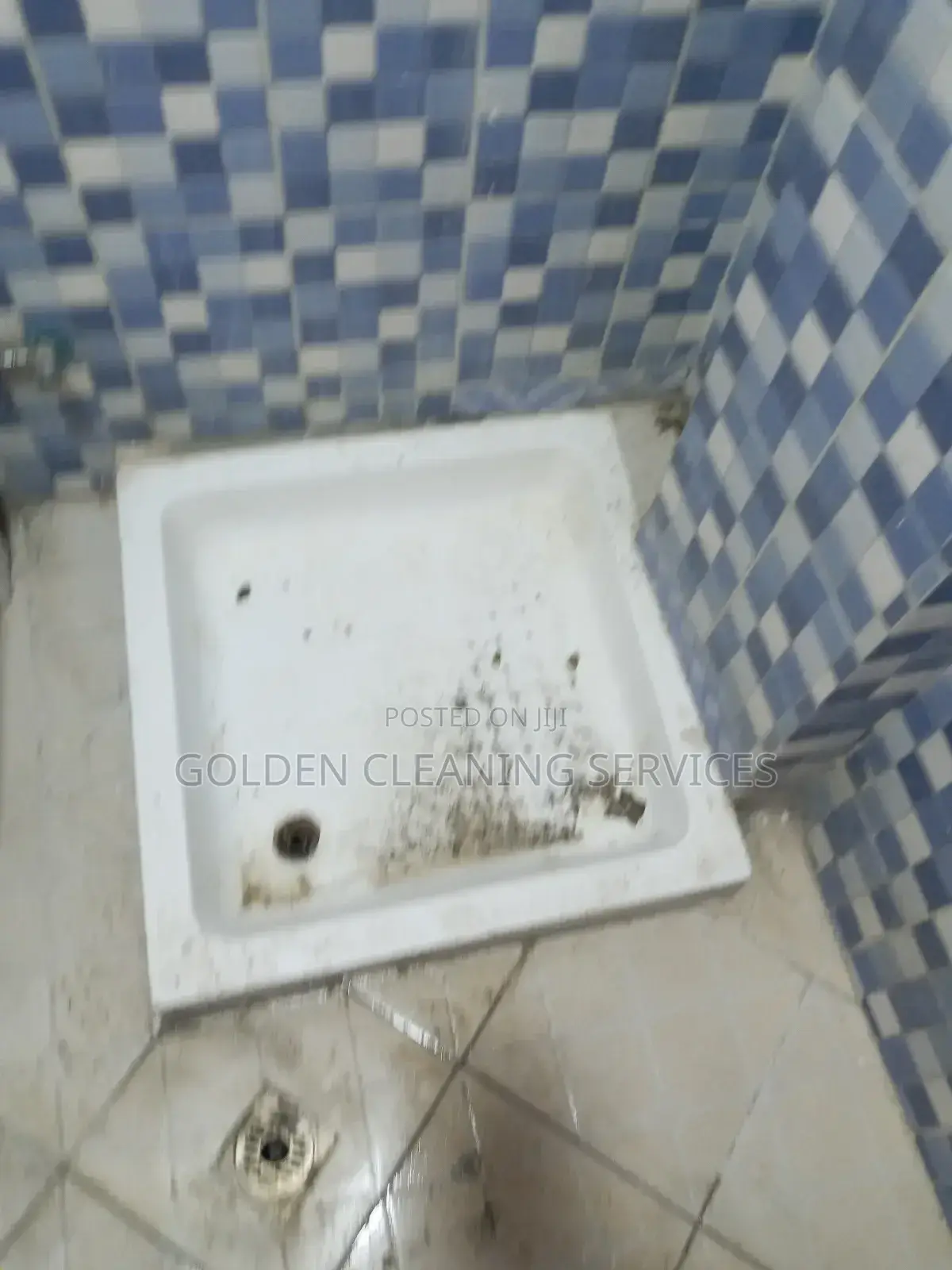 Toilet/Bathroom Cleaning
