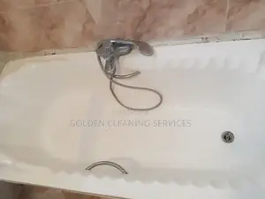 Toilet/Bathroom Cleaning
