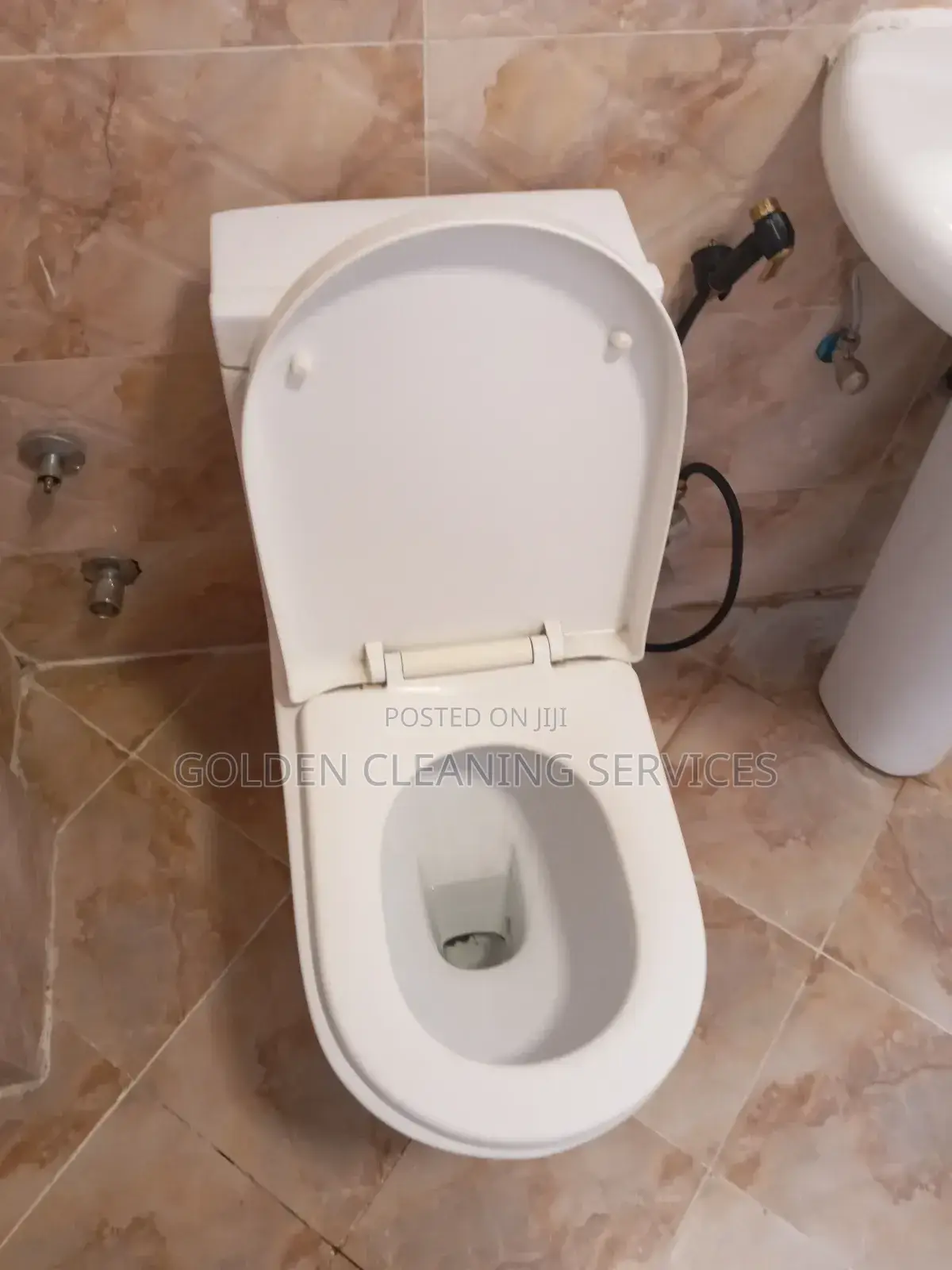 Toilet/Bathroom Cleaning