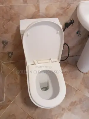 Toilet/Bathroom Cleaning