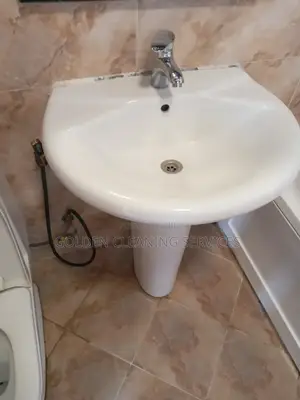 Toilet/Bathroom Cleaning