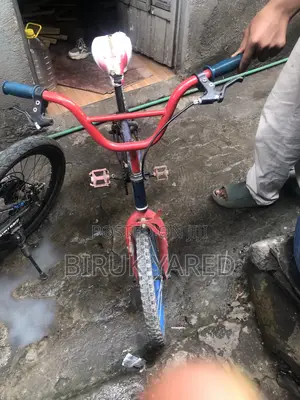 2 Bikes Only You Have to Buy!?