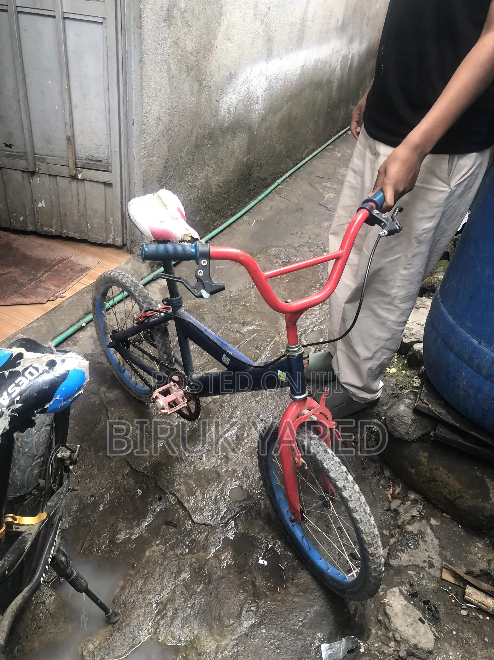 2 Bikes Only You Have to Buy!?