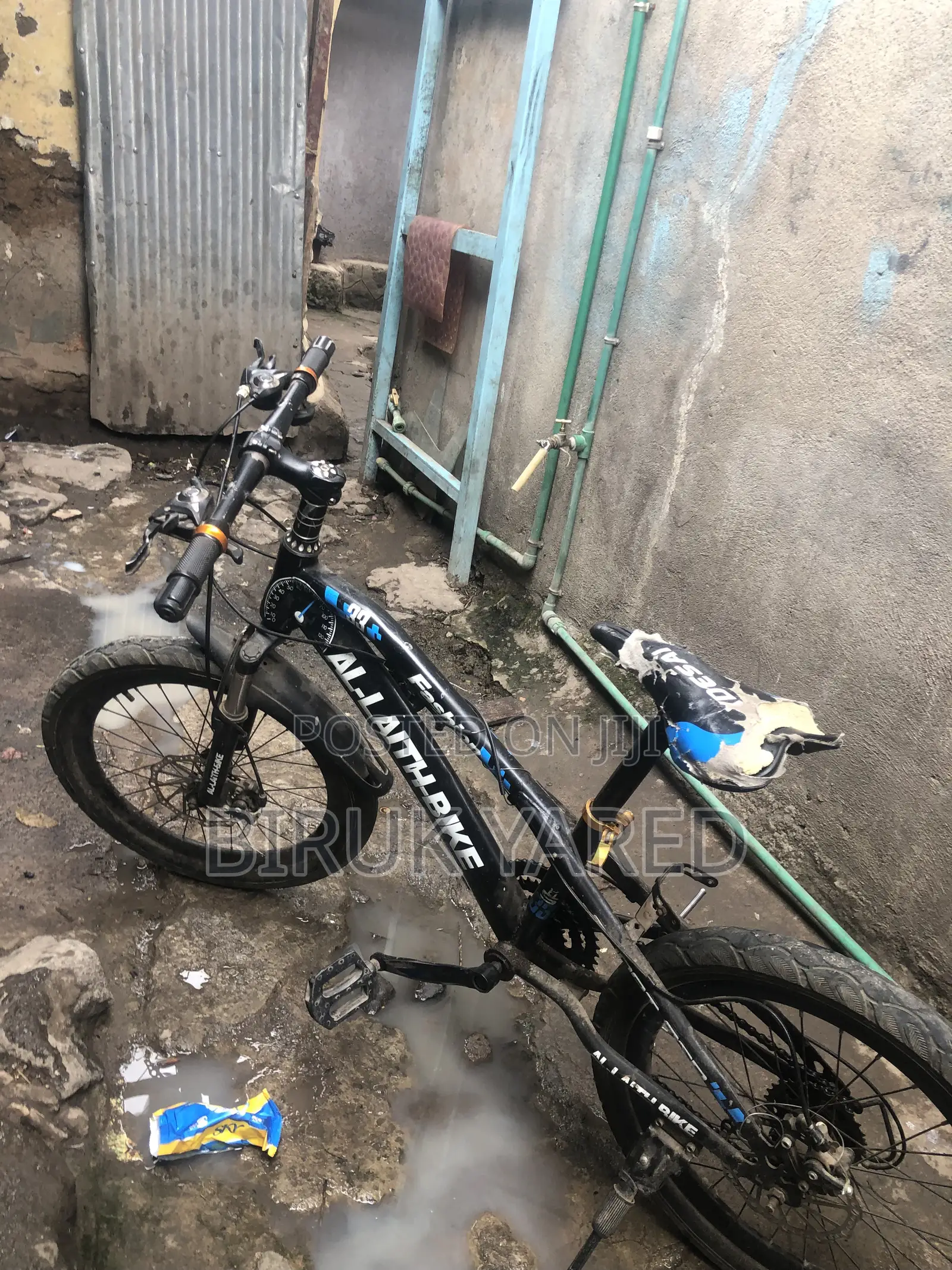 2 Bikes Only You Have to Buy!?