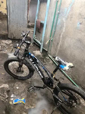 2 Bikes Only You Have to Buy!?