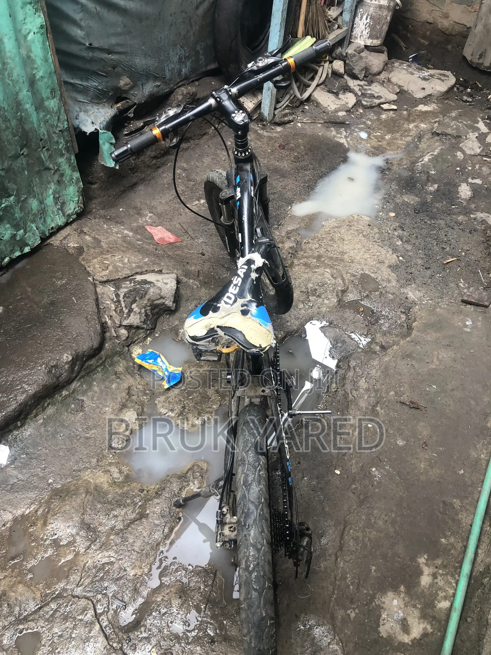 2 Bikes Only You Have to Buy!?