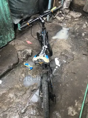 2 Bikes Only You Have to Buy!?
