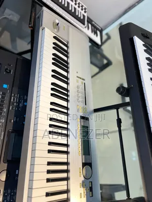 Korg Triton Le Music Workstation Keyboard 88keys