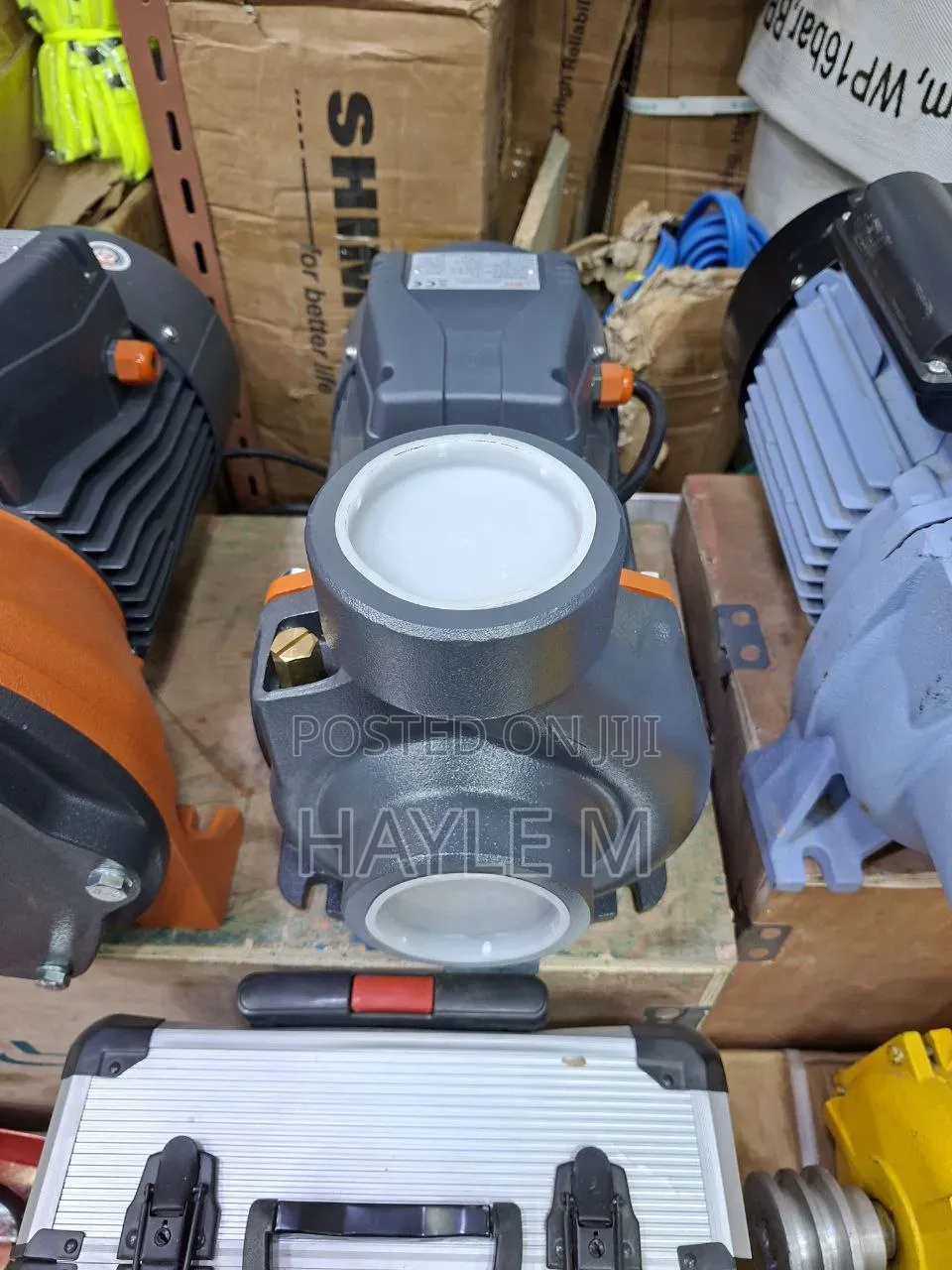 Leo Surface Water Pump3''3
