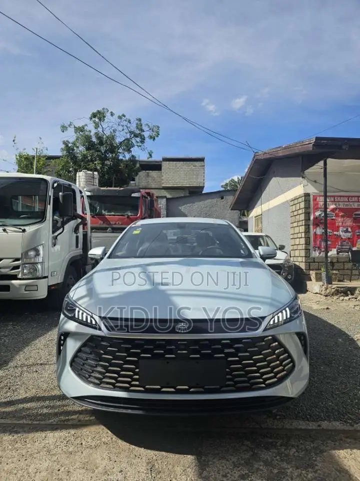 New BYD Qin Plus DM-i 2025 Gray