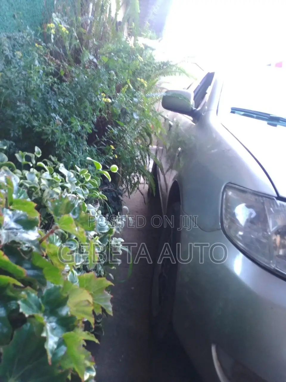 Toyota Corolla 2005