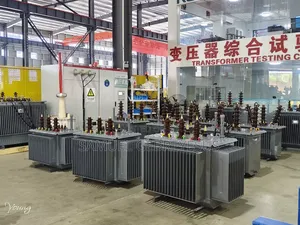 Transformer Oil-Immersed and Dry Type