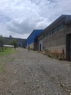 Big Warehouse Rent Alemgena Shger City
