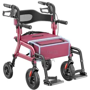 Homeland 2 in 1 Walker and Seater Wheelchair