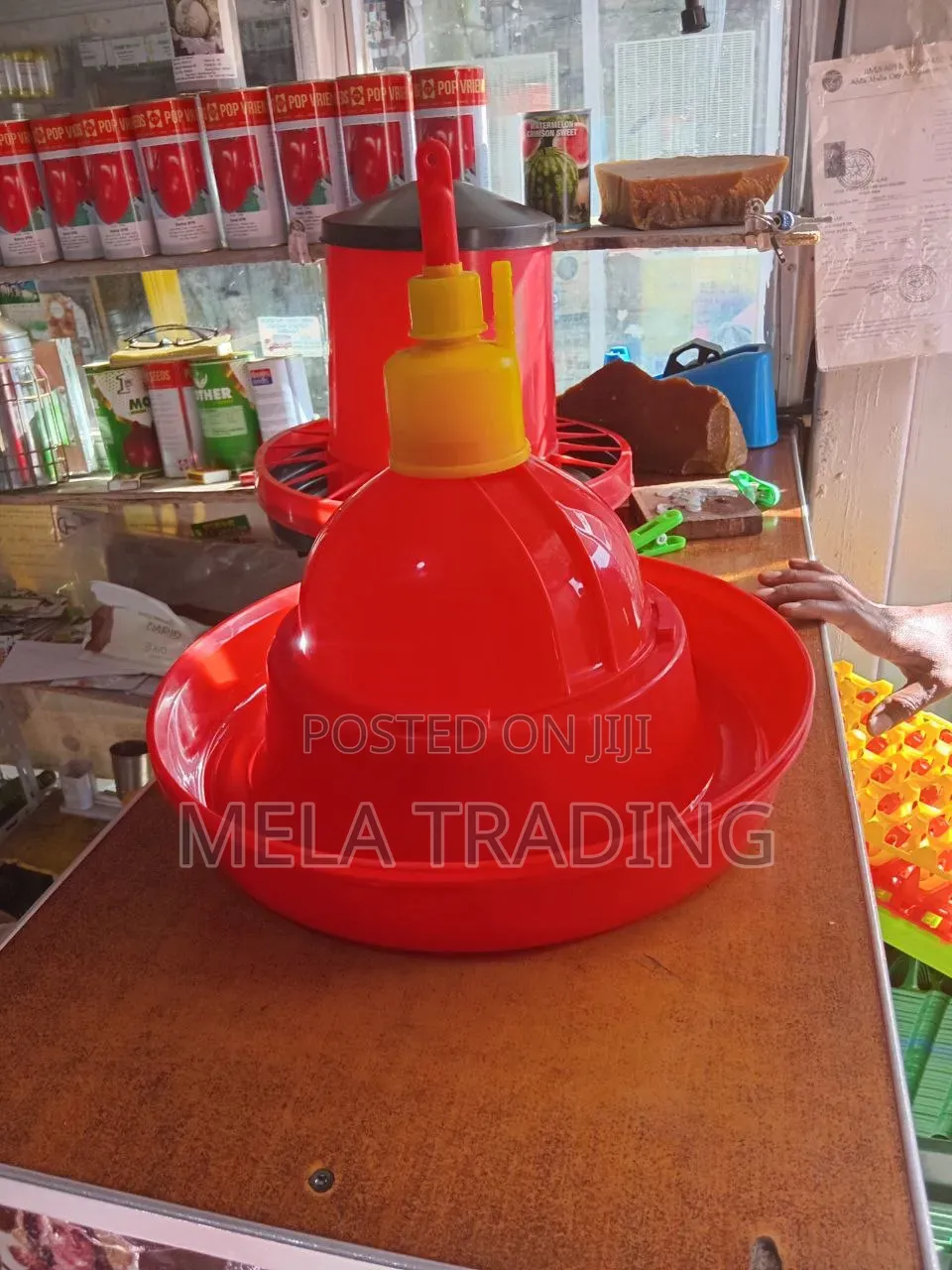 Automatic Drinker for Poultry ።አውቶማቲክ የዶሮ መጠጫ