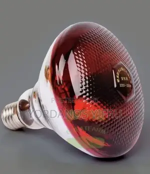 Infrared Heat Lamp