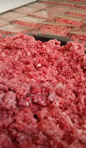 Dogs Food and Accessories
