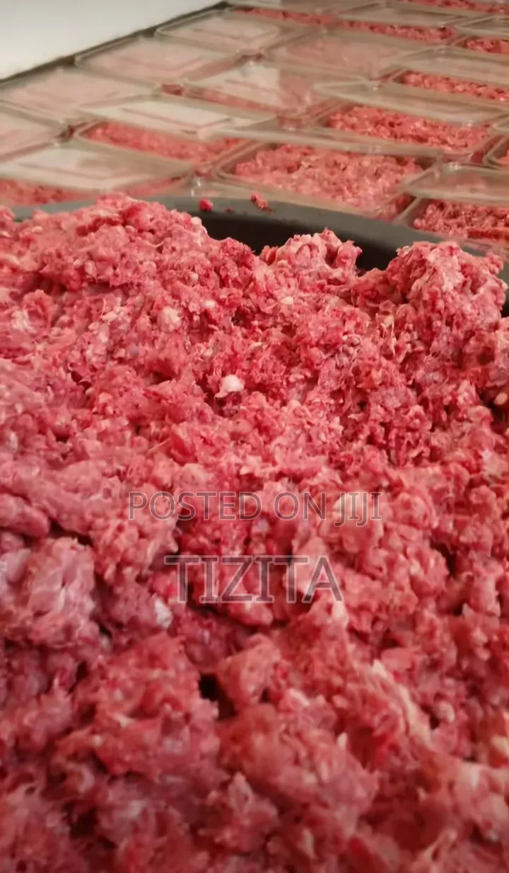 Dogs Food and Accessories