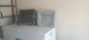 Dogs Food and Accessories