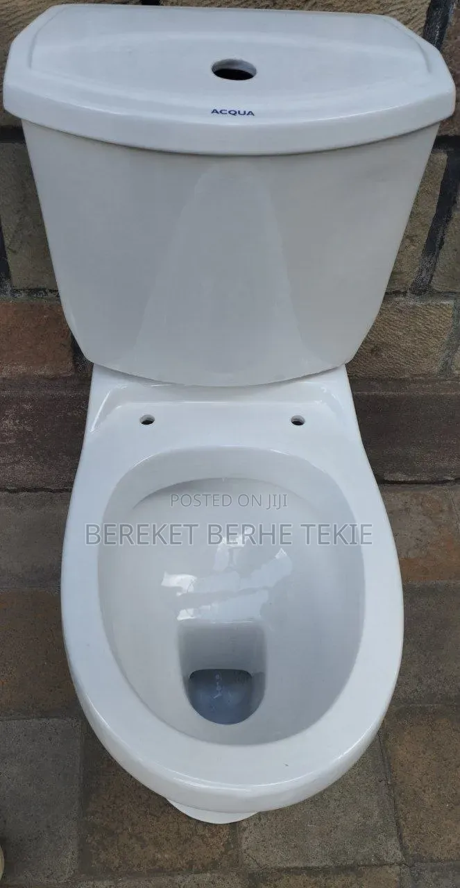 Toilet Seat