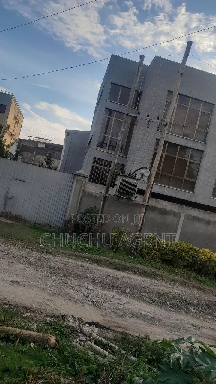 Warehouse Rent Hile Garment ሃይሌ ጋርመንት