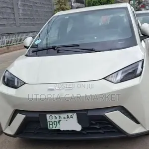 BYD Seagull 2024