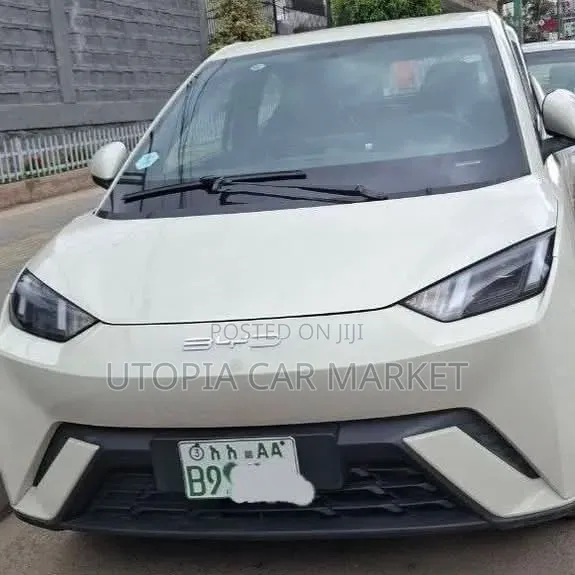 BYD Seagull 2024