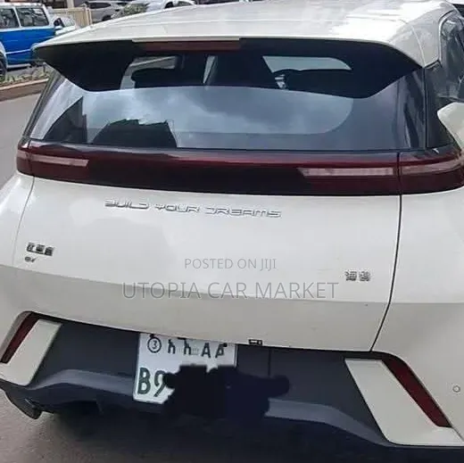 BYD Seagull 2024