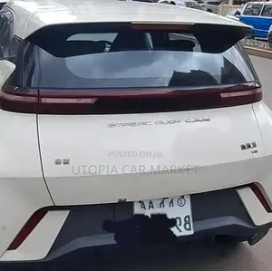BYD Seagull 2024
