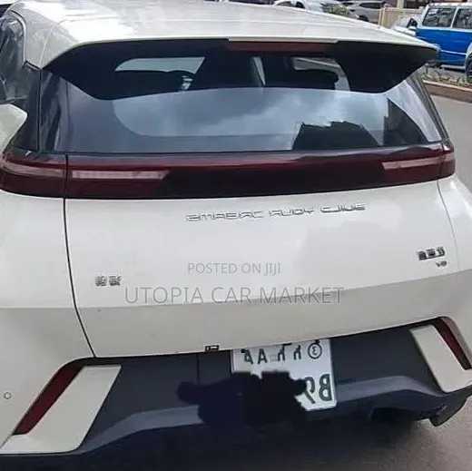 BYD Seagull 2024