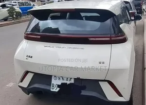 BYD Seagull 2024