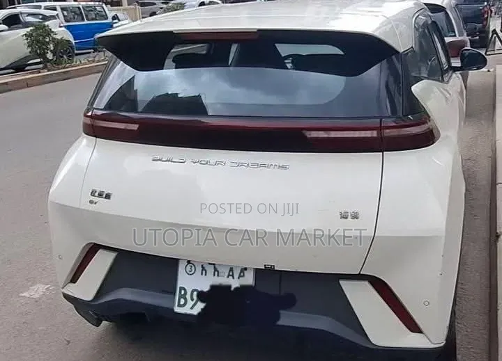 BYD Seagull 2024