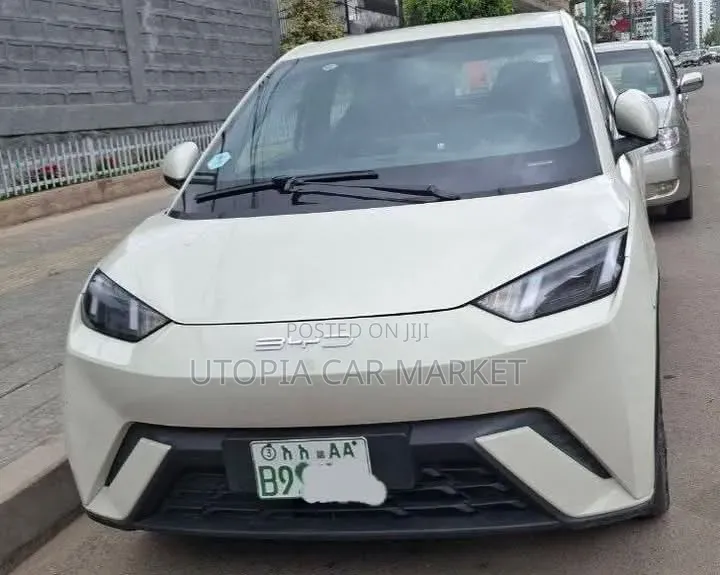 BYD Seagull 2024