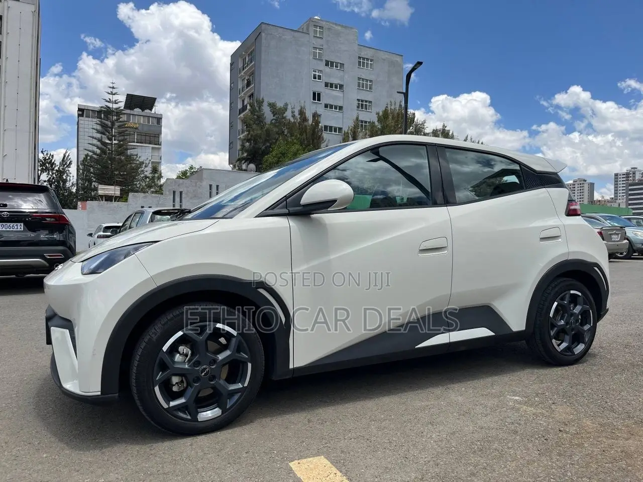 BYD Seagull 2025 White