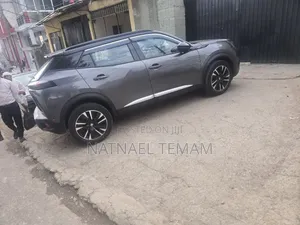 Peugeot 2008 2022 Brown