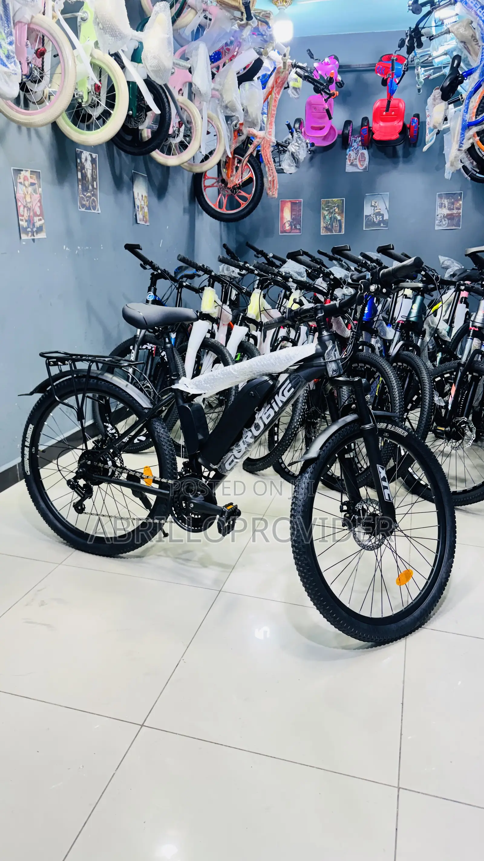 Electric Bike