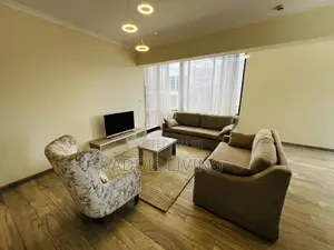 Furnished 3bdrm Apartment in Bole for rent