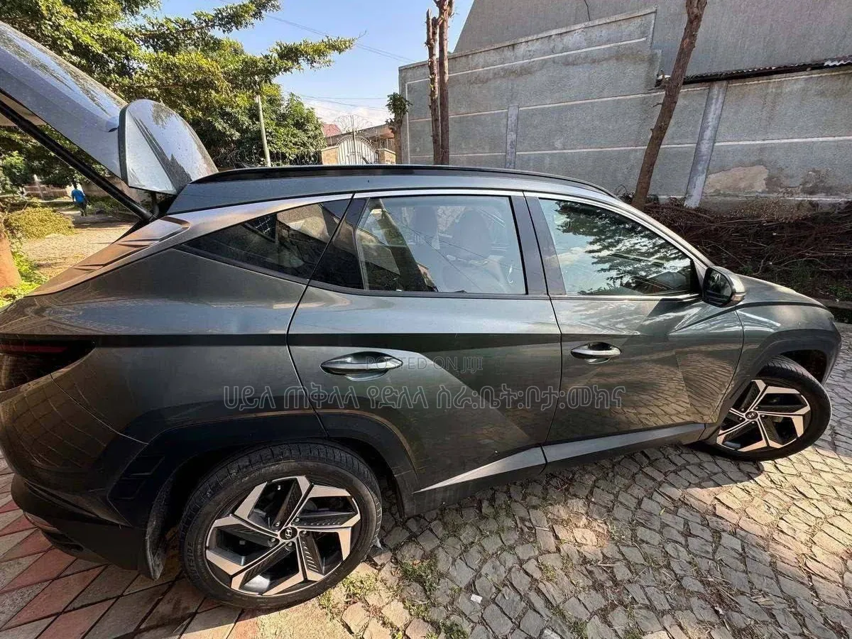 Hyundai Tucson 2021 Maroon